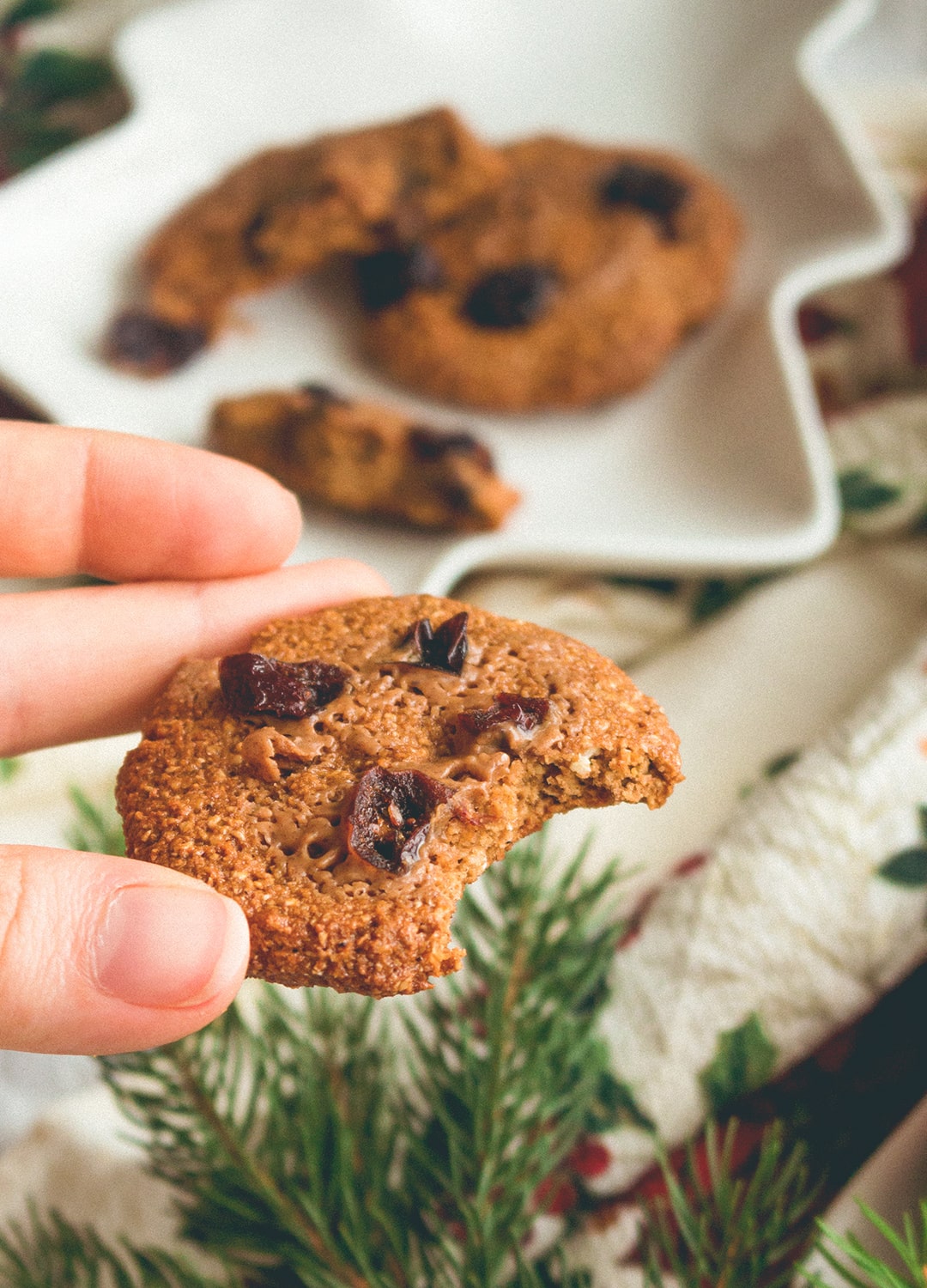 Cranberry Oat Cookies - crispy on the edges, chewy in the middle. These gingerbread flavored cookies are absolutely scrumptious! Our favorite Christmas recipe! | thehealthfulideas.com