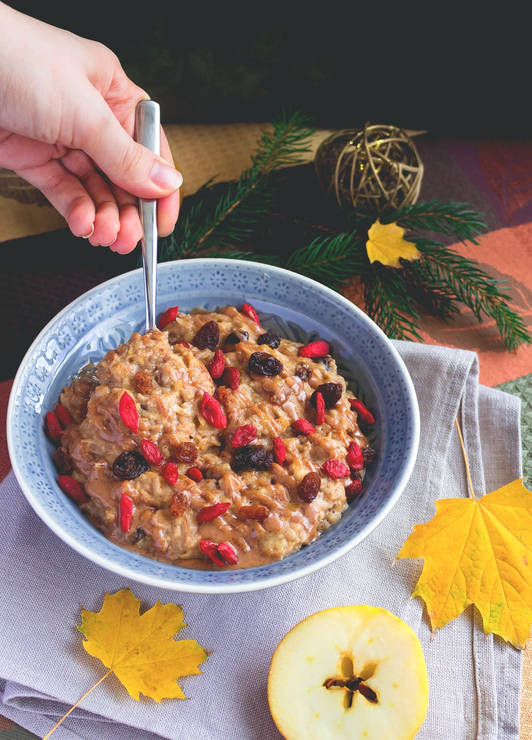 Apple Pie Oatmeal with Raisins and Goji Berries is the perfect breakfast for a gloomy Autumn day. It's easy, quick, delicious and really satisfying! I LOVE this recipe! | thehealthfulideas.com