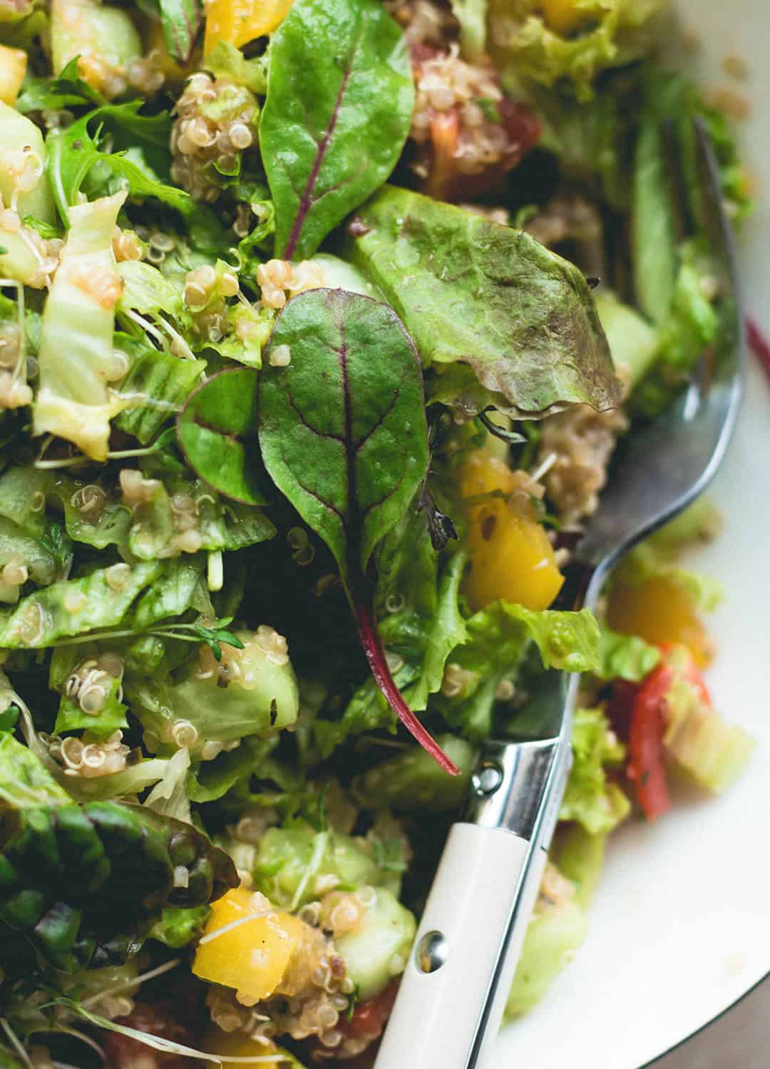 Anything You Have Chopped Salad aka the best whatever-you-have dinner or packed lunch for work or school! Can be made vegetarian or vegan! | thehealthfulideas.com