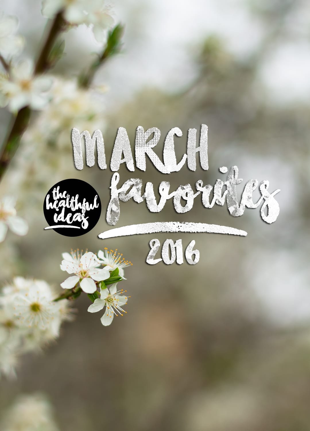 Monthly Favorites March 2016 by The Healthful Ideas | thehealthfulideas.com