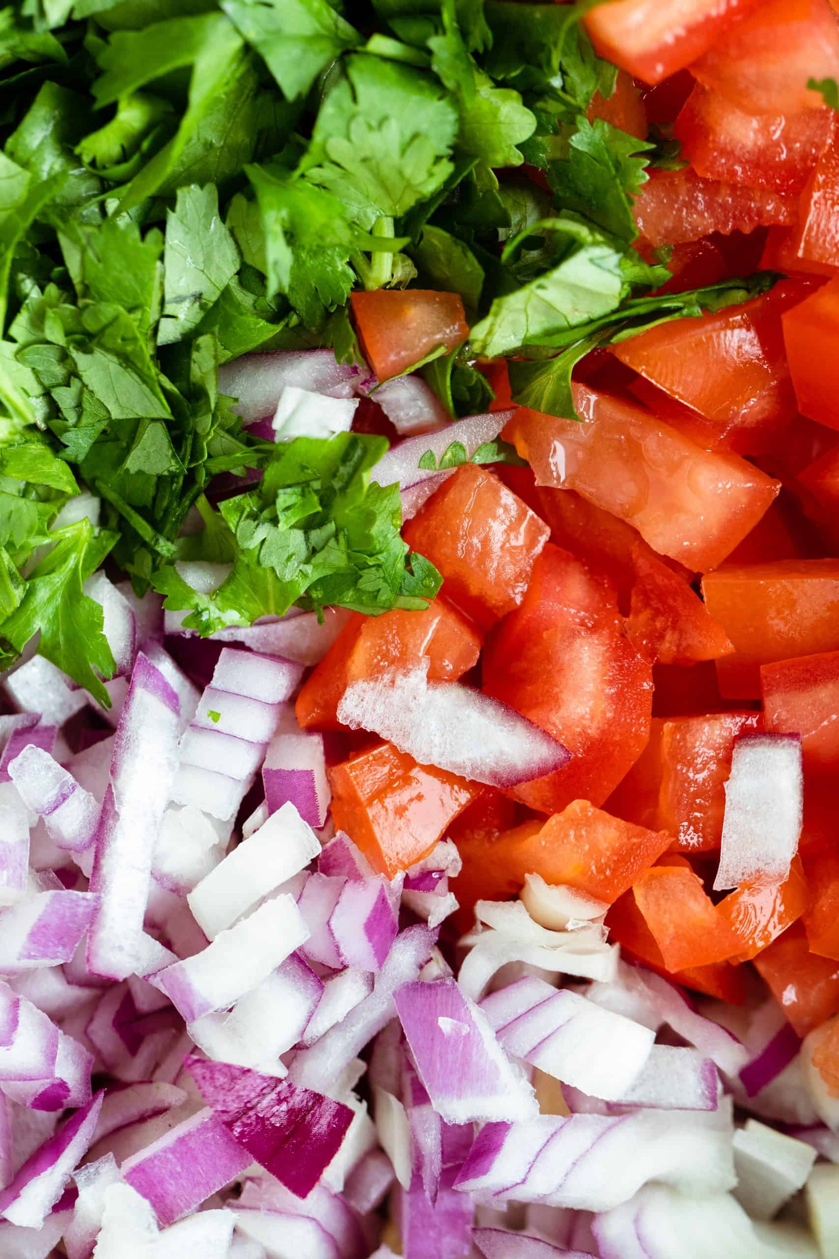 Pico de Gallo served with tortilla chips