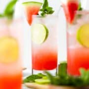 cropped-Watermelon-Coconut-Rum-Cooler-6.jpg
