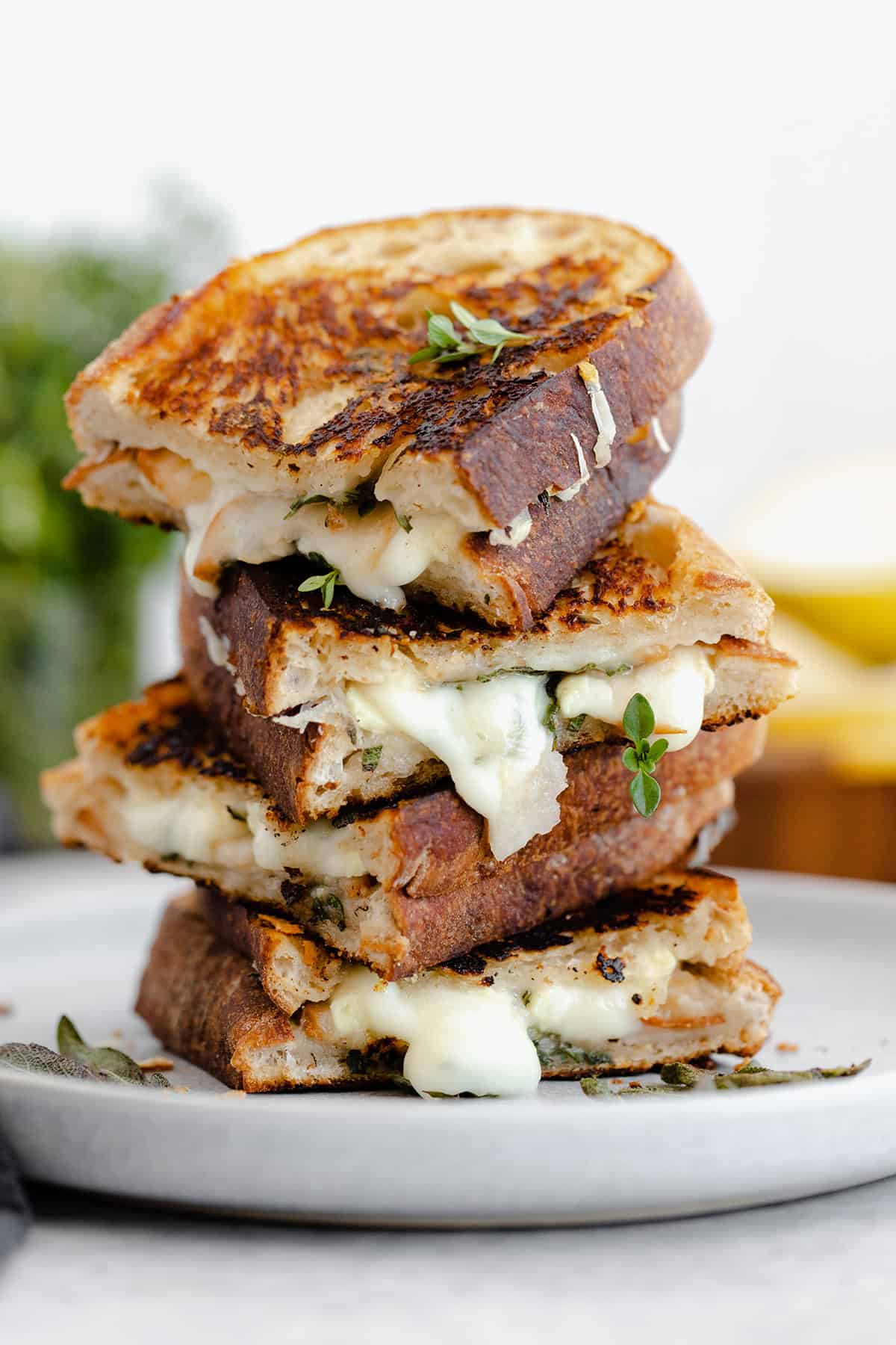 A shot of Goat Grilled Cheese with Pear and Sage