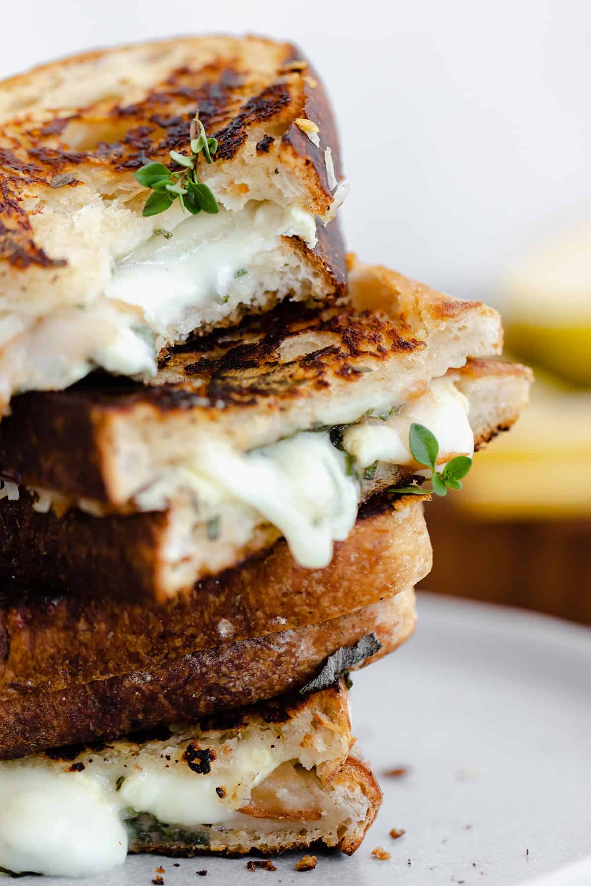 A shot of Goat Grilled Cheese with Pear and Sage