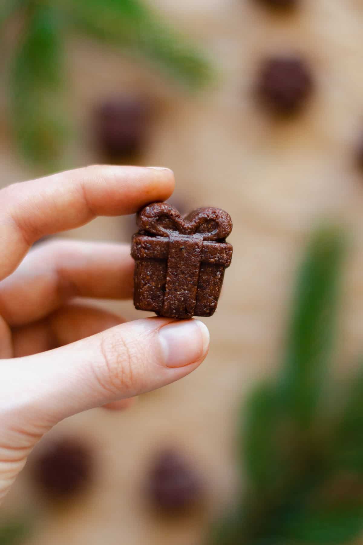 A hand holding one Chocolate Hazelnut Fudge Bite