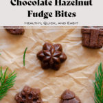 Chocolate Hazelnut Fudge Bites laid out on parchment paper, with fir twigs around the bites.
