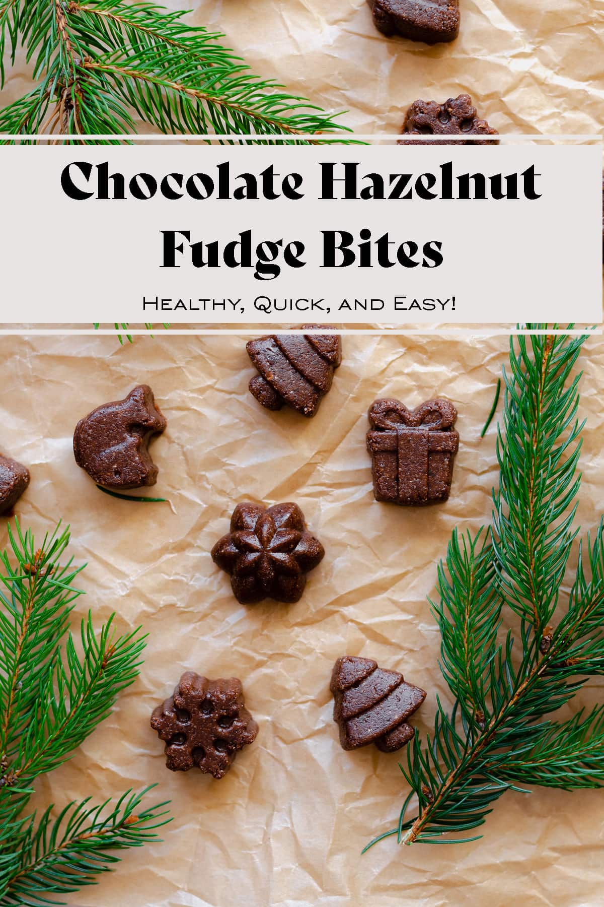 Chocolate Hazelnut Fudge Bites