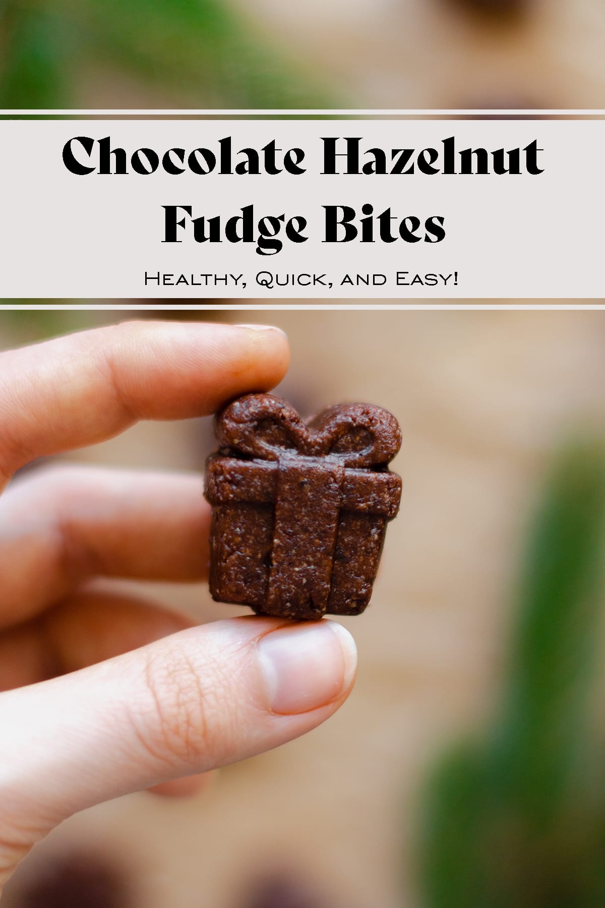 Chocolate Hazelnut Fudge Bites
