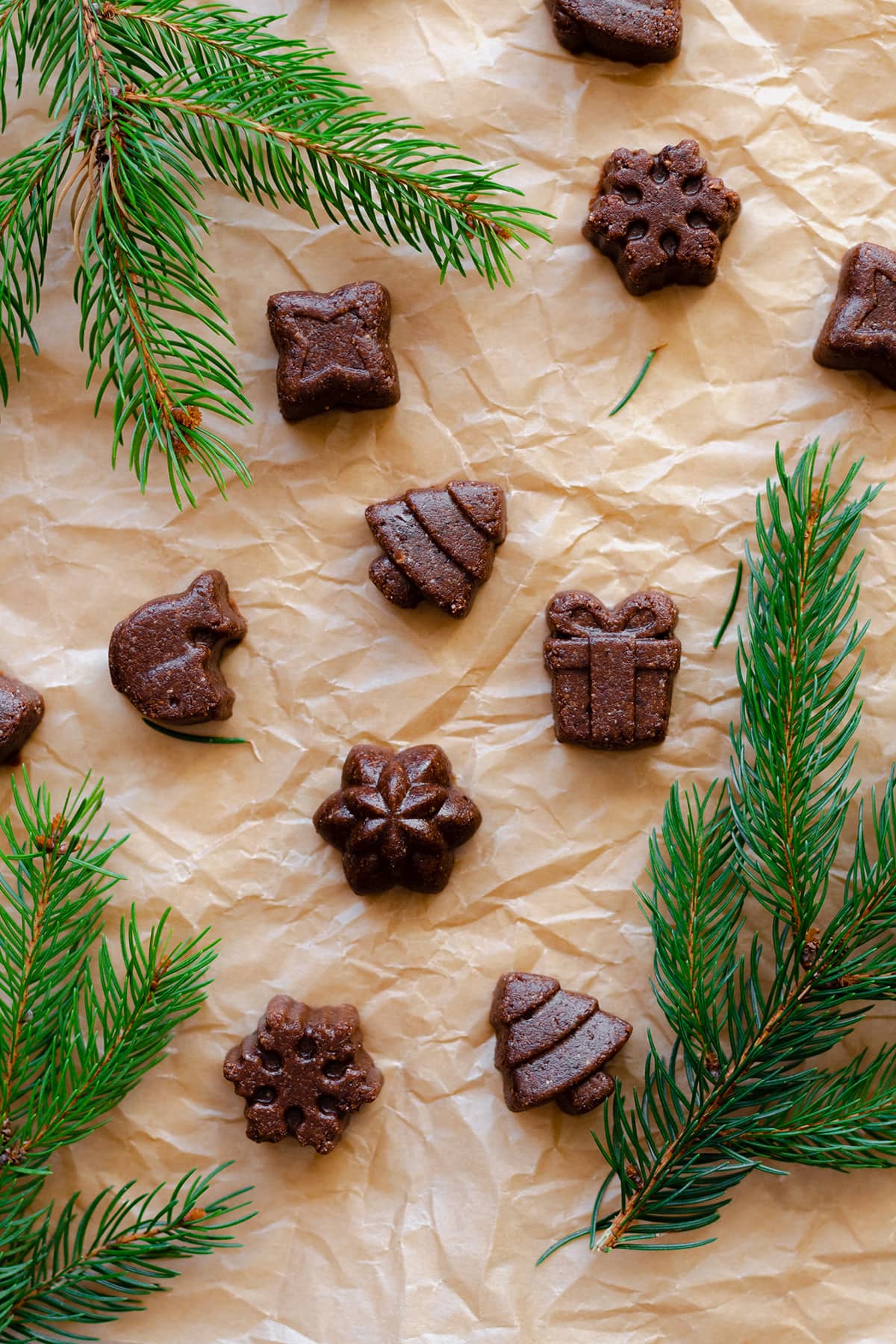 Chocolate Hazelnut Fudge Bites laid out on parchment paper, with fir twigs around the bites.