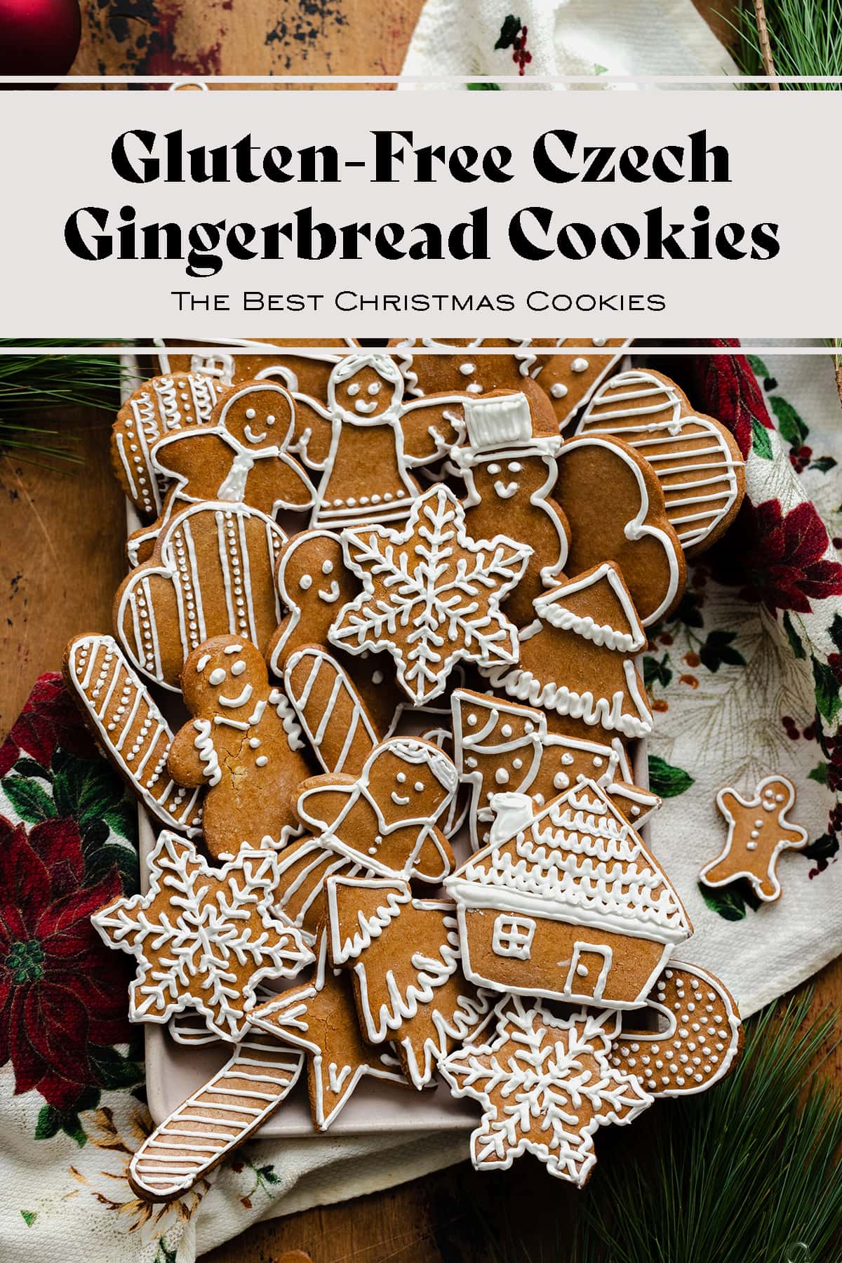 Gluten-Free Czech Gingerbread Cookies