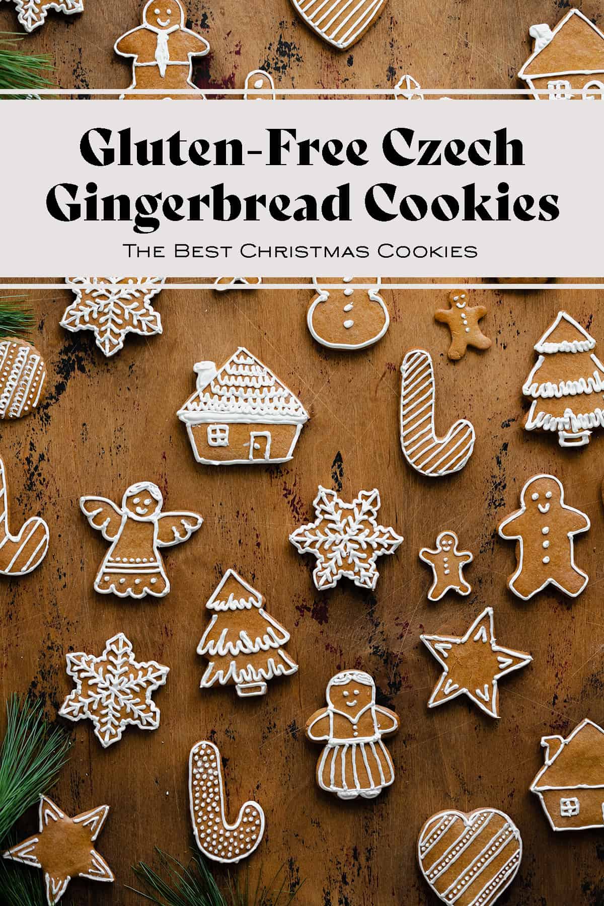 Gluten-Free Czech Gingerbread Cookies