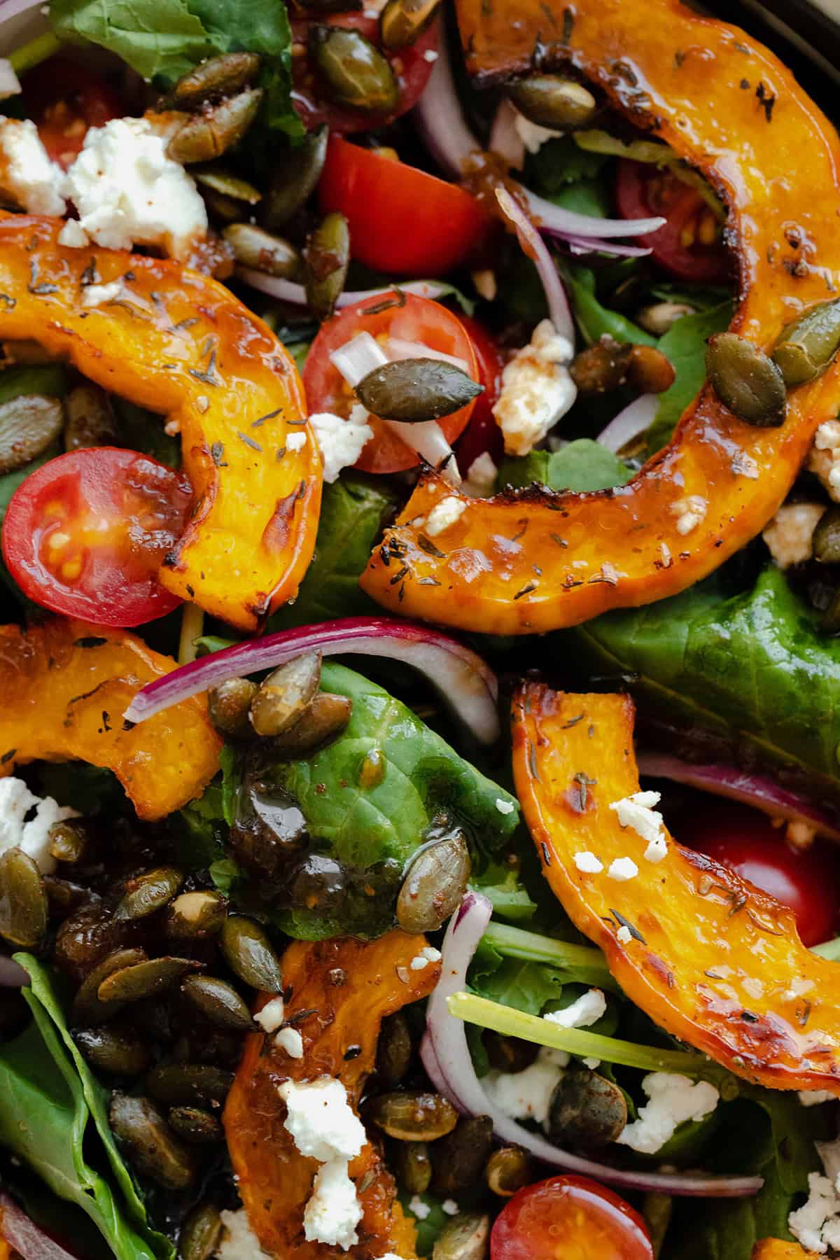 A tight close up of roasted delicata squash salad with baby kale, red onion, cherry tomatoes, goat cheese, and toasted pumpkin seeds.