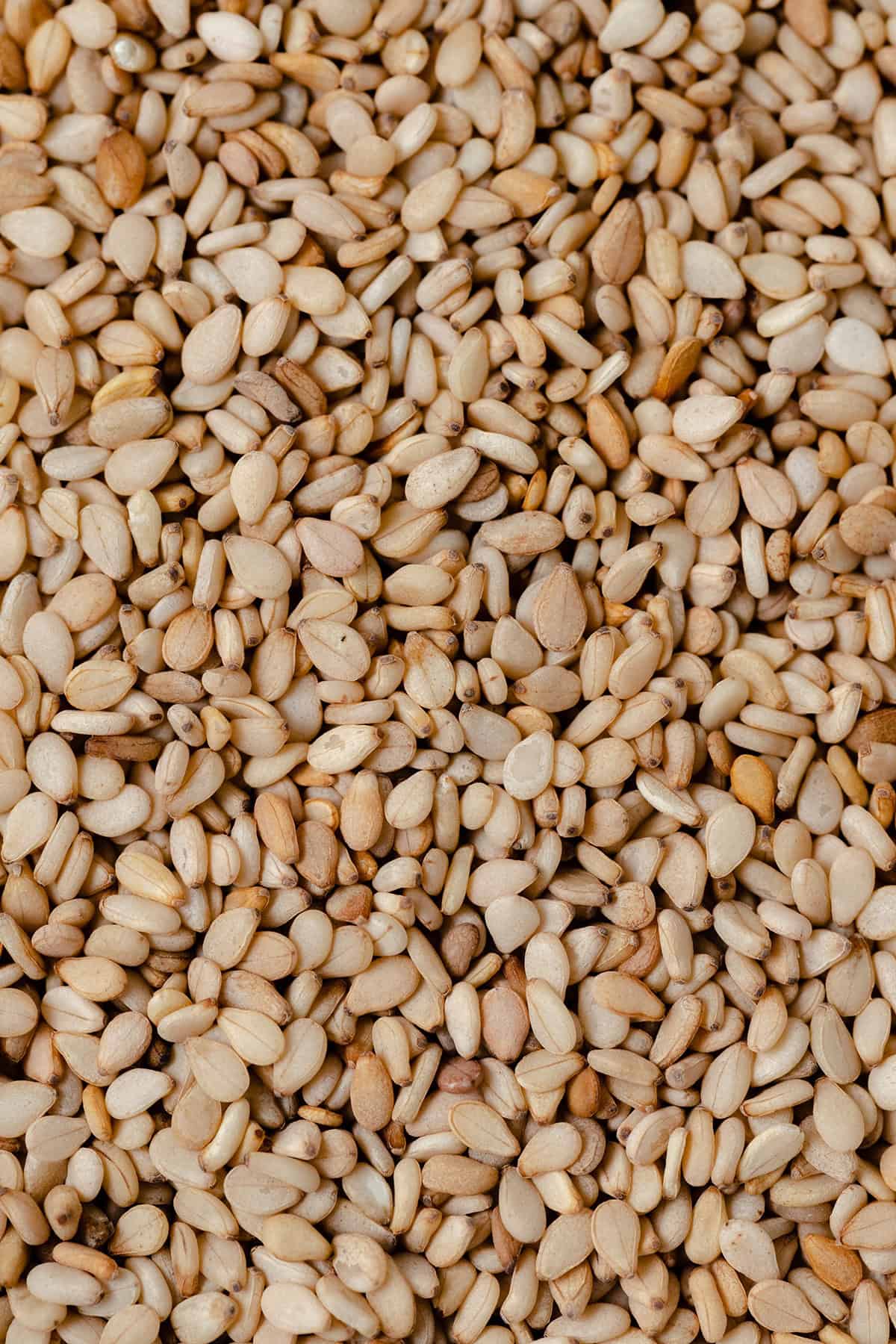 A macro shot of brown sesame seeds