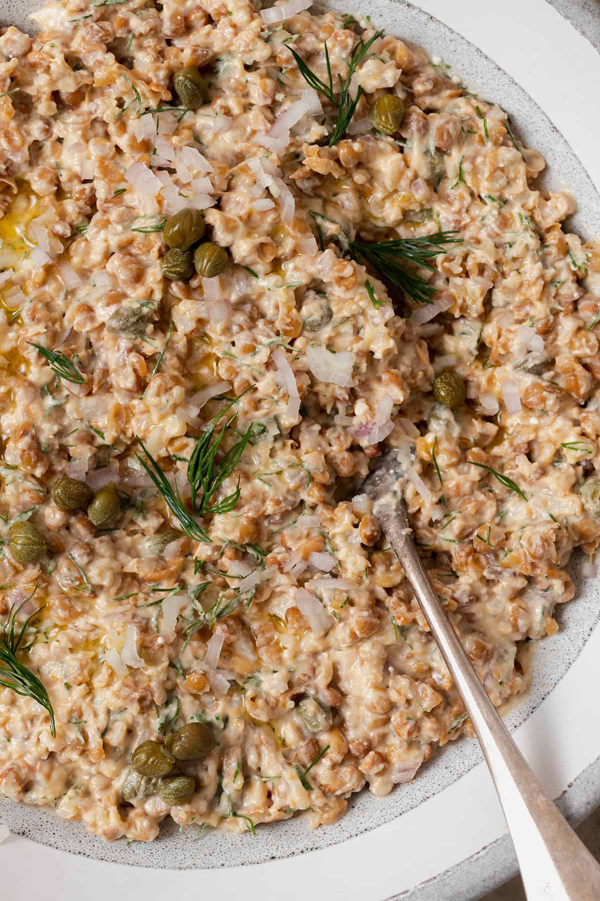 A close up of lentil dip garnished with fresh dill, capers, and a drizzle of olive oil.