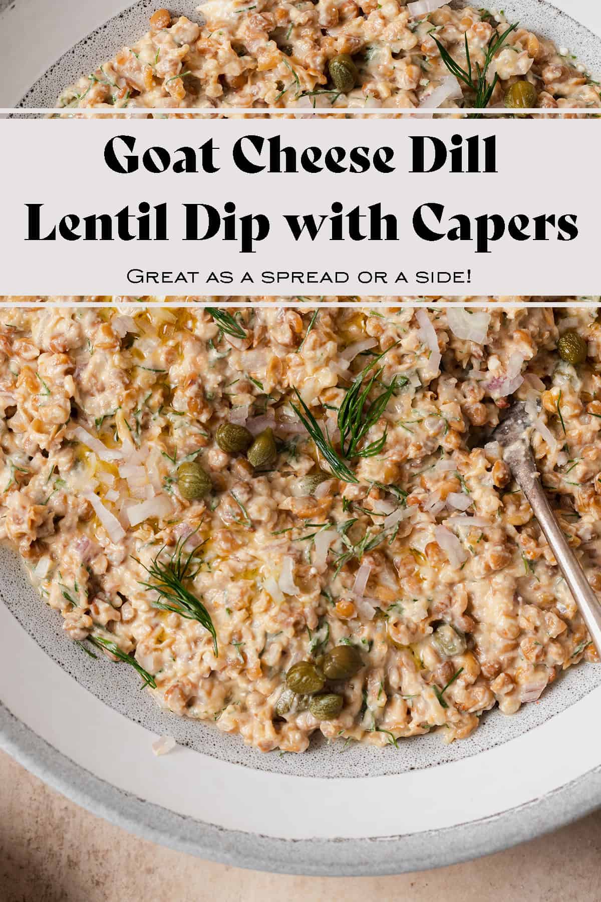 Goat Cheese Lentil Dip with Dill and Capers