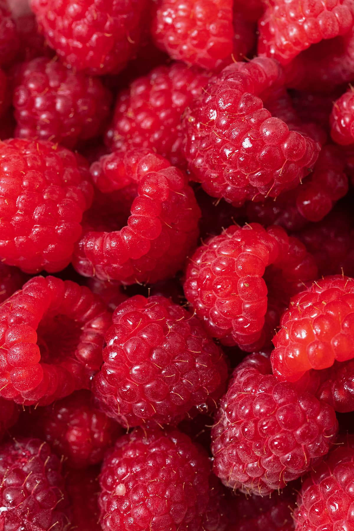 A macro show of fresh raspberries.