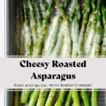 Baked asparagus spears on a sheet pan with cheese sprinkled on that has melted in the oven.