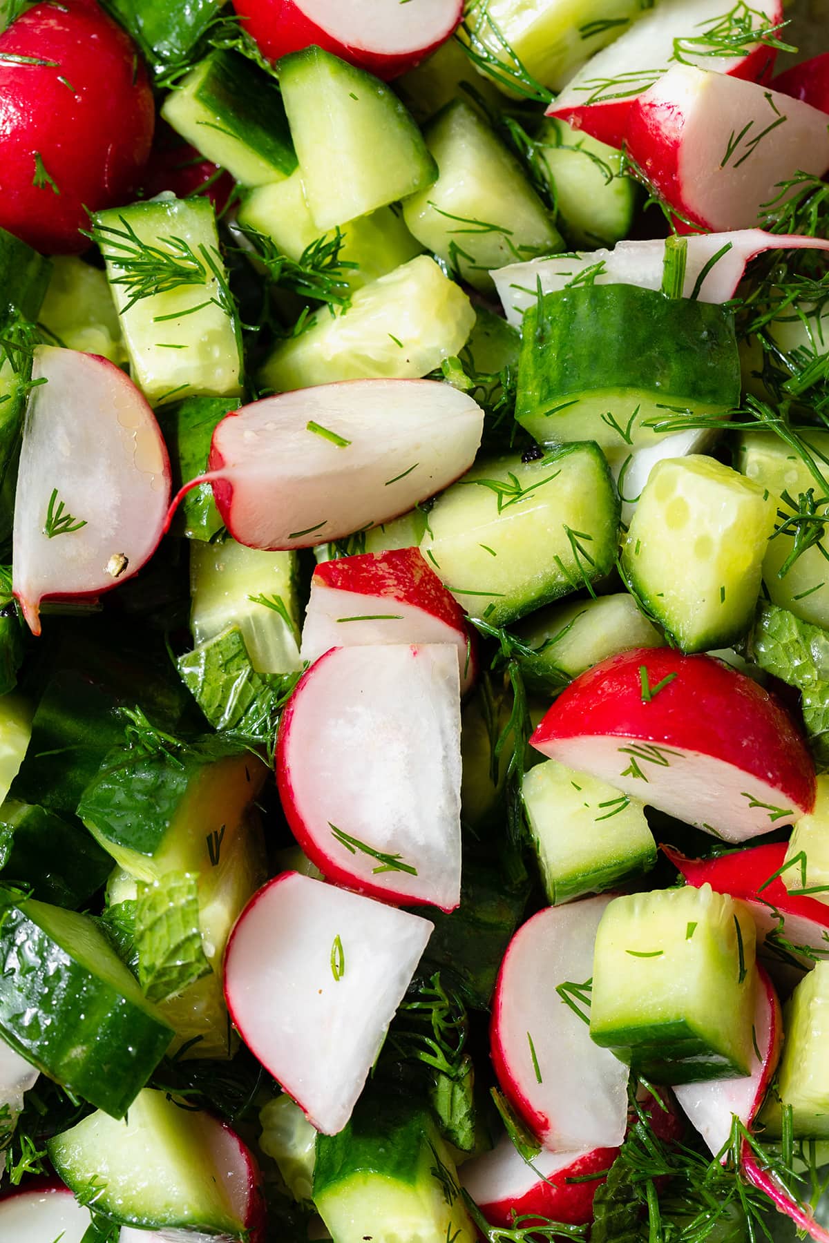 A close up of chopped cucumber and radishes with fresh dill and lemon vinaigrette.