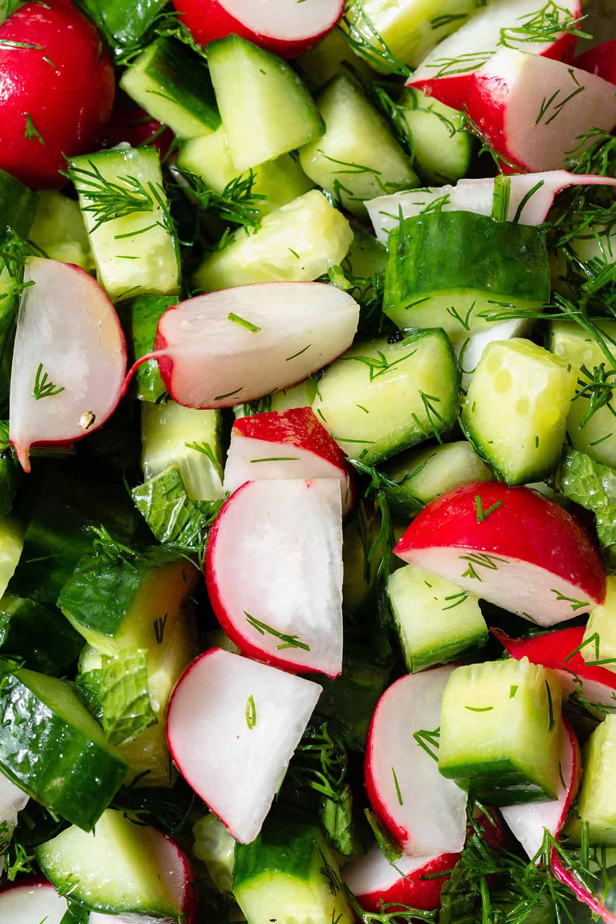 Cucumber Radish Salad with Fresh Herbs - The Healthful Ideas