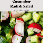 A close up of chopped cucumber and radishes with fresh dill and lemon vinaigrette.