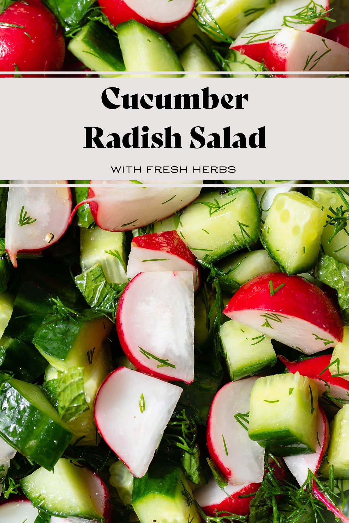 Cucumber Radish Salad with Fresh Herbs