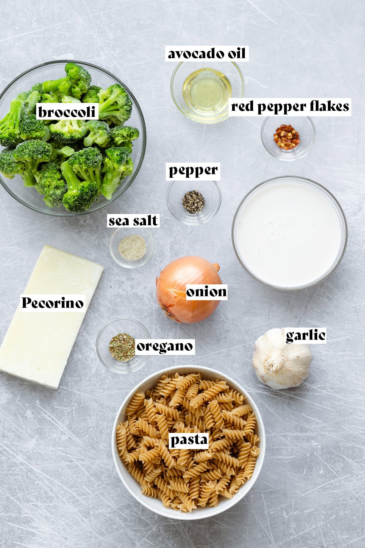 Frozen broccoli, pasta, milk, cheese, garlic, and spices for broccoli pasta laid out and shot from above.