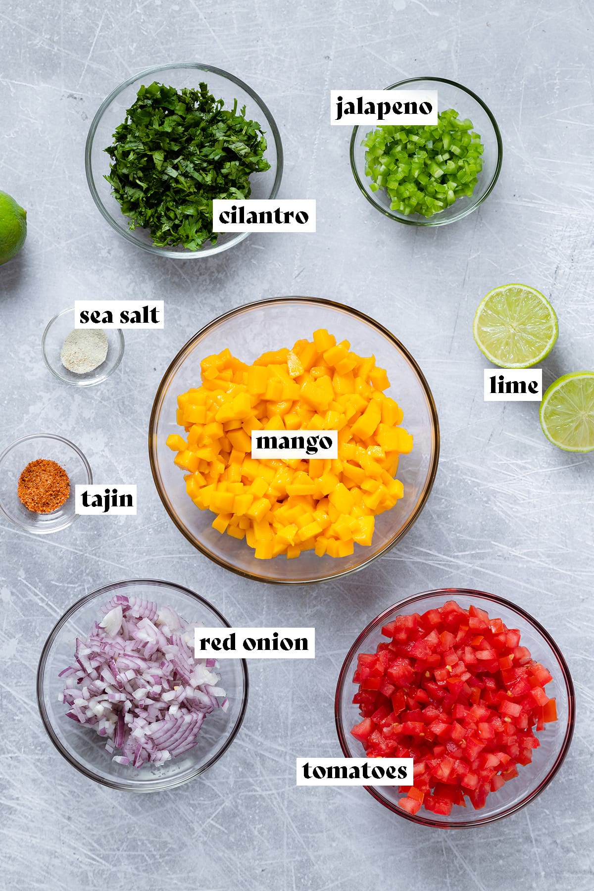 Ingredients for mango pico de gallo like chopped mango, tomatoes, and jalapeno all laid out.