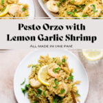 Pesto orzo with shrimp, a lemon slice, and fresh parsley on a white plate.
