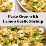 Pesto orzo with sauted shrimp and fresh parsley in a large pan.