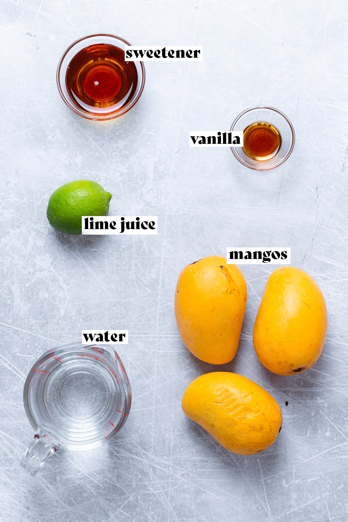 Mango, lime, water, maple syrup, and vanilla laid out on a metal background.