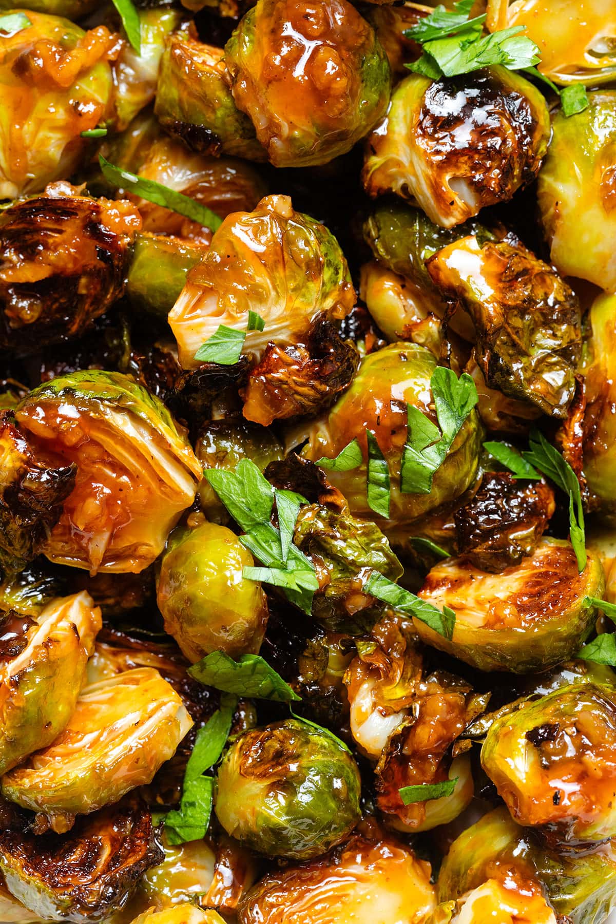Charred saucy brussels sprouts topped with chopped fresh parsley.