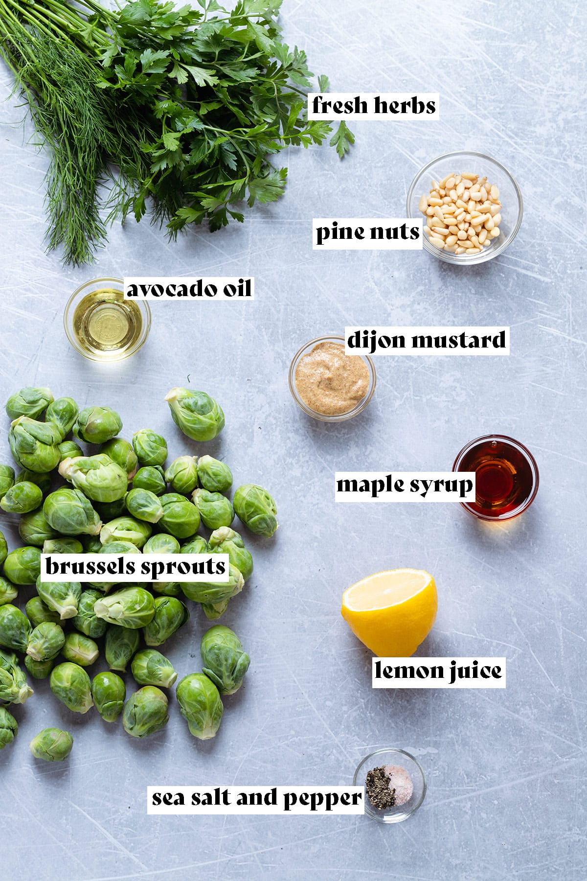 Raw brussels sprouts, fresh herbs, pine nuts, and other ingredients laid out on a grey background.