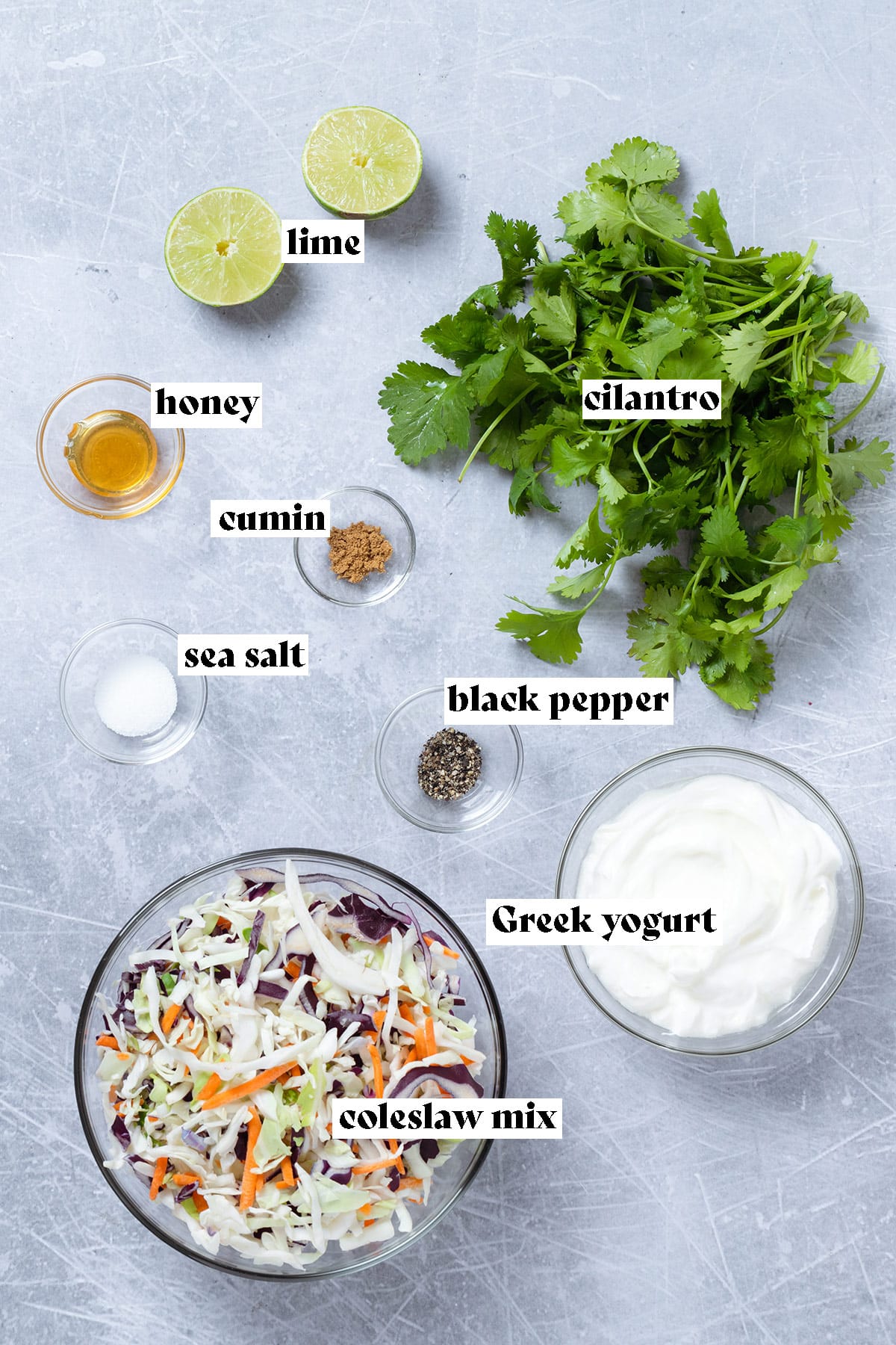 Cilantro, coleslaw mix, greek yogurt, and other ingredients laid out on a grey background.