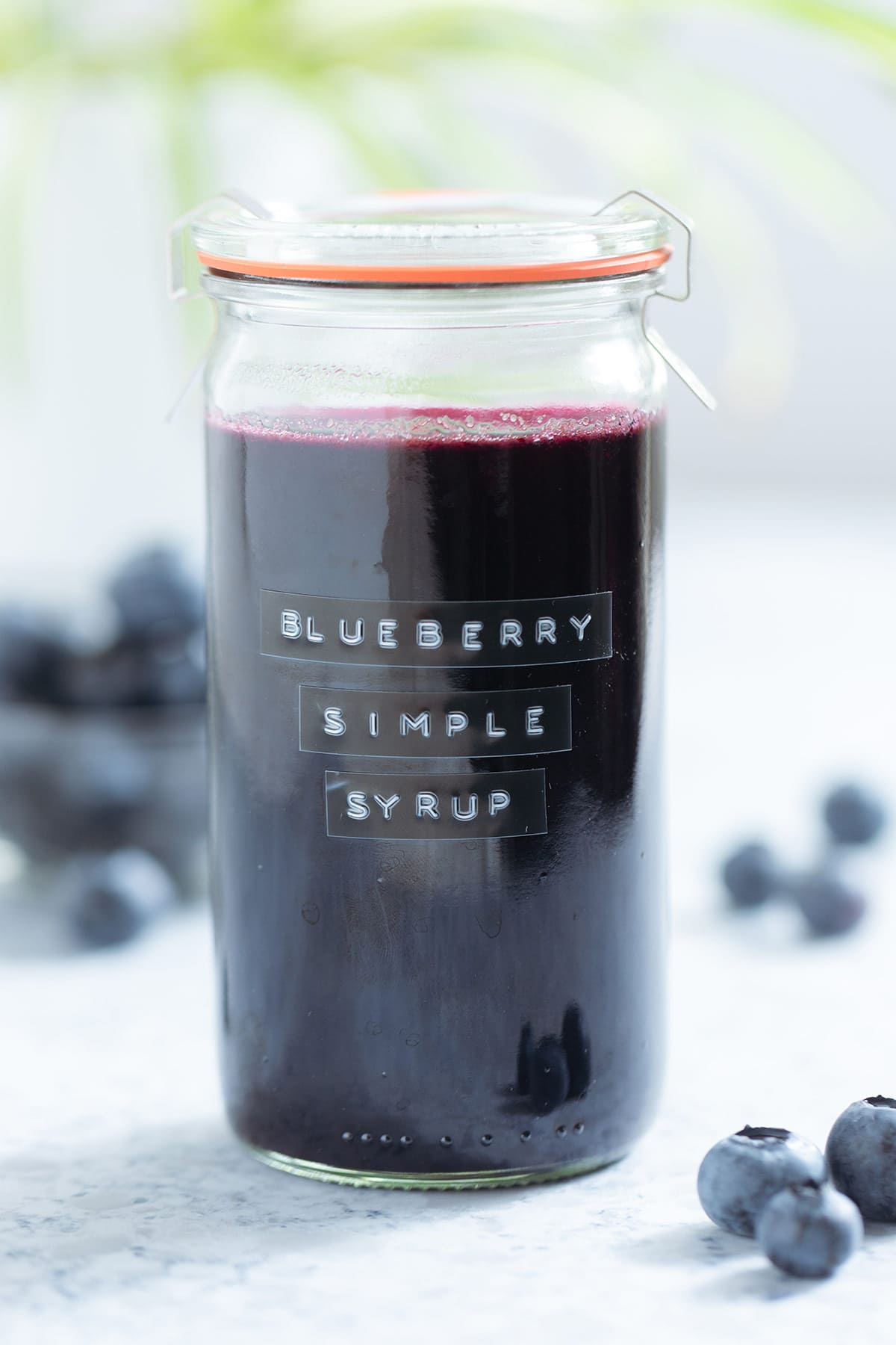 A glass jar with dark purple blueberry syrup with fresh blueberries around the jar and a green plant in the background.