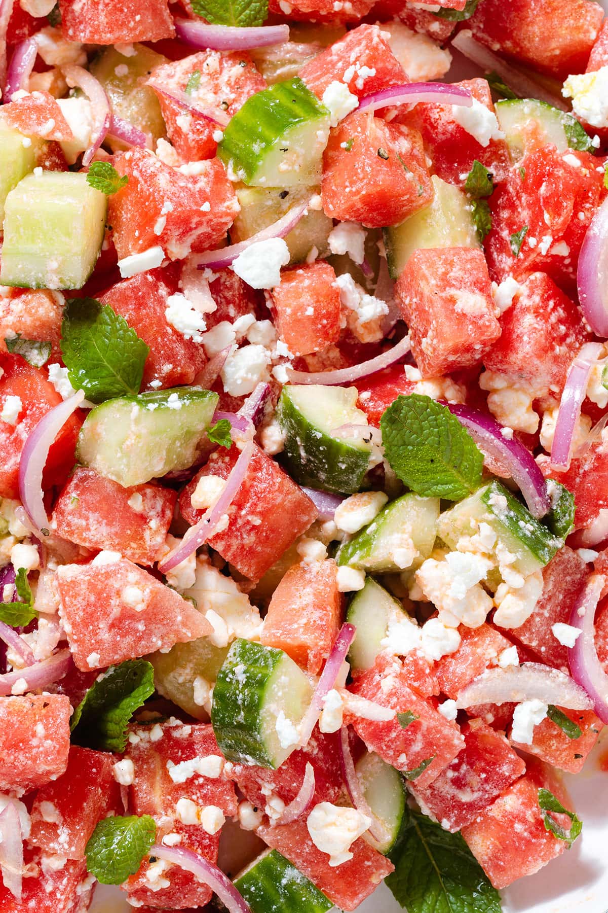 A close up of a watermelon salad with cucumber, feta, and fresh mint on a white plate.