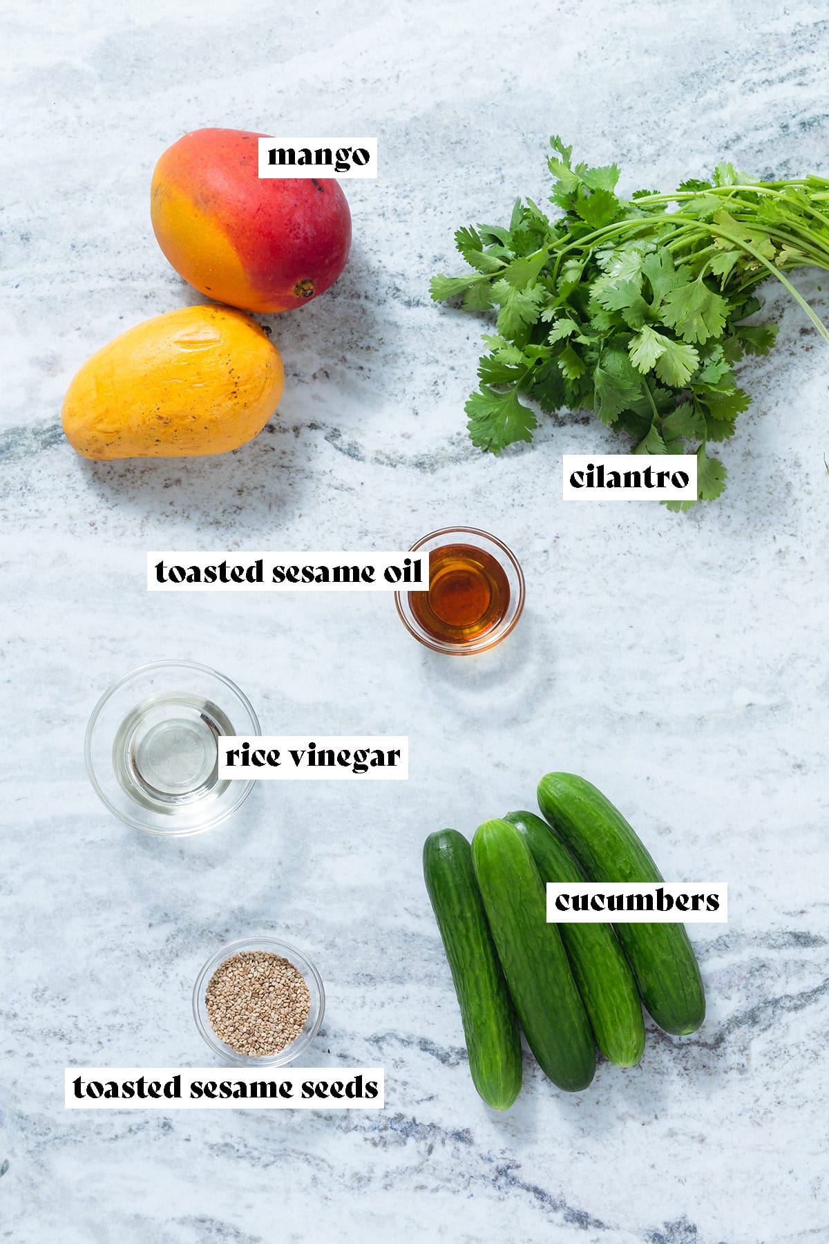 Mango, cucumbers, fresh cilantro, and other ingredients laid out on a grey stone background.