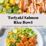 Teriyaki salmon with mango salad, edamame, and rice, in a grey low bowl on a grey background.