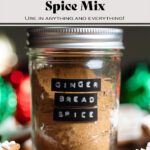 Gingerbread spice in a small glass mason jar labeled with a black embossed label.