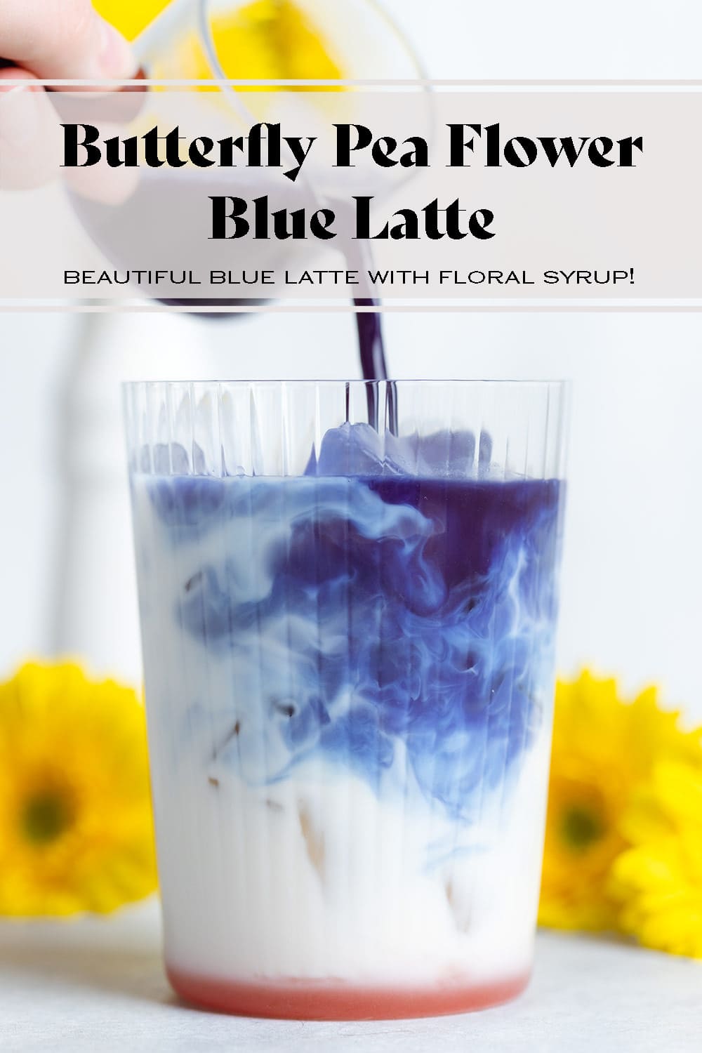 Blue Butterfly Pea Flower Latte