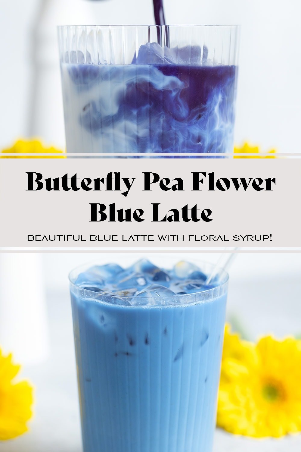 Blue Butterfly Pea Flower Latte