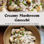 Creamy gnocchi with mushroom in a low brown bowl topped with toasted pine nuts, chives, and sumac.