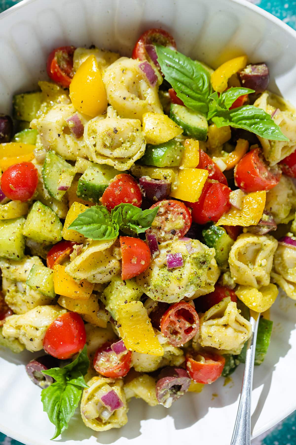 Tortellini pesto salad with fresh chopped veggies and basil in a white bowl with a silver fork in the bowl.