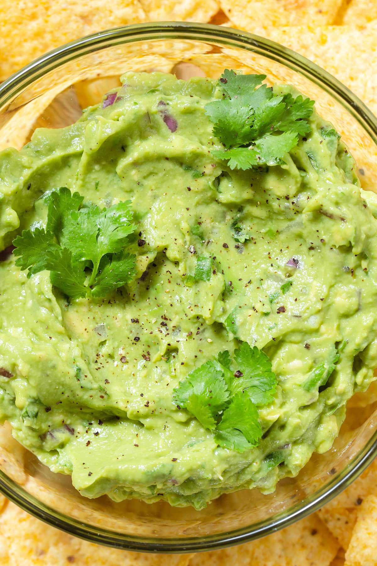 Guacamole in a small glass bowl garnished with fresh cilantro with lots of tortilla chips around the bowl.