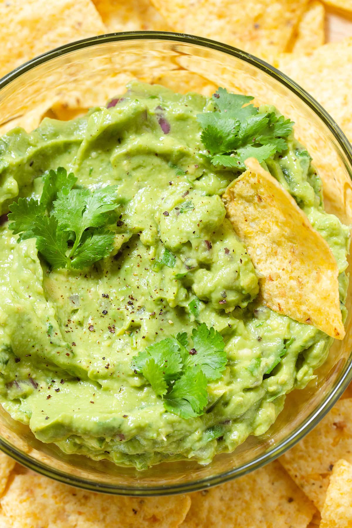 Guacamole in a small glass bowl garnished with fresh cilantro with lots of tortilla chips around the bowl and one dipped into the bowl.