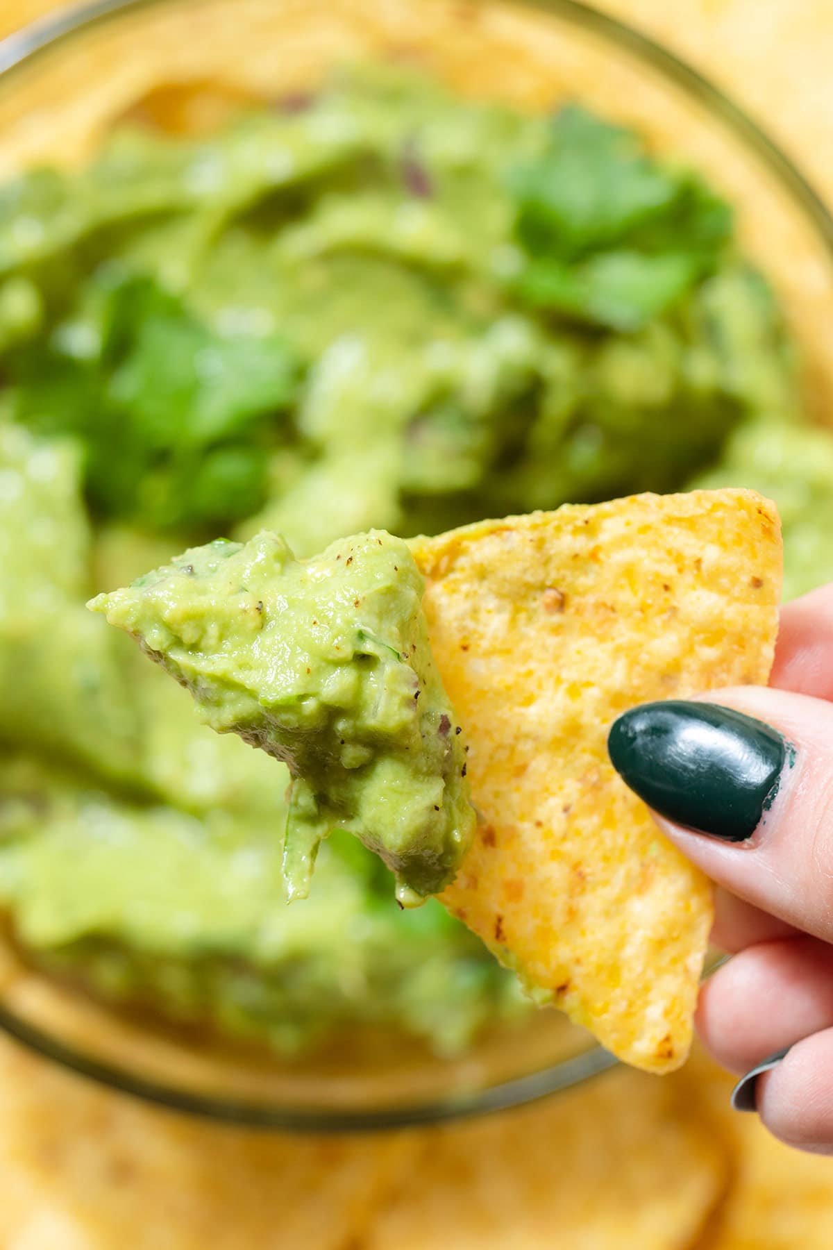 A hand dipping a tortilla chip in guacamole.