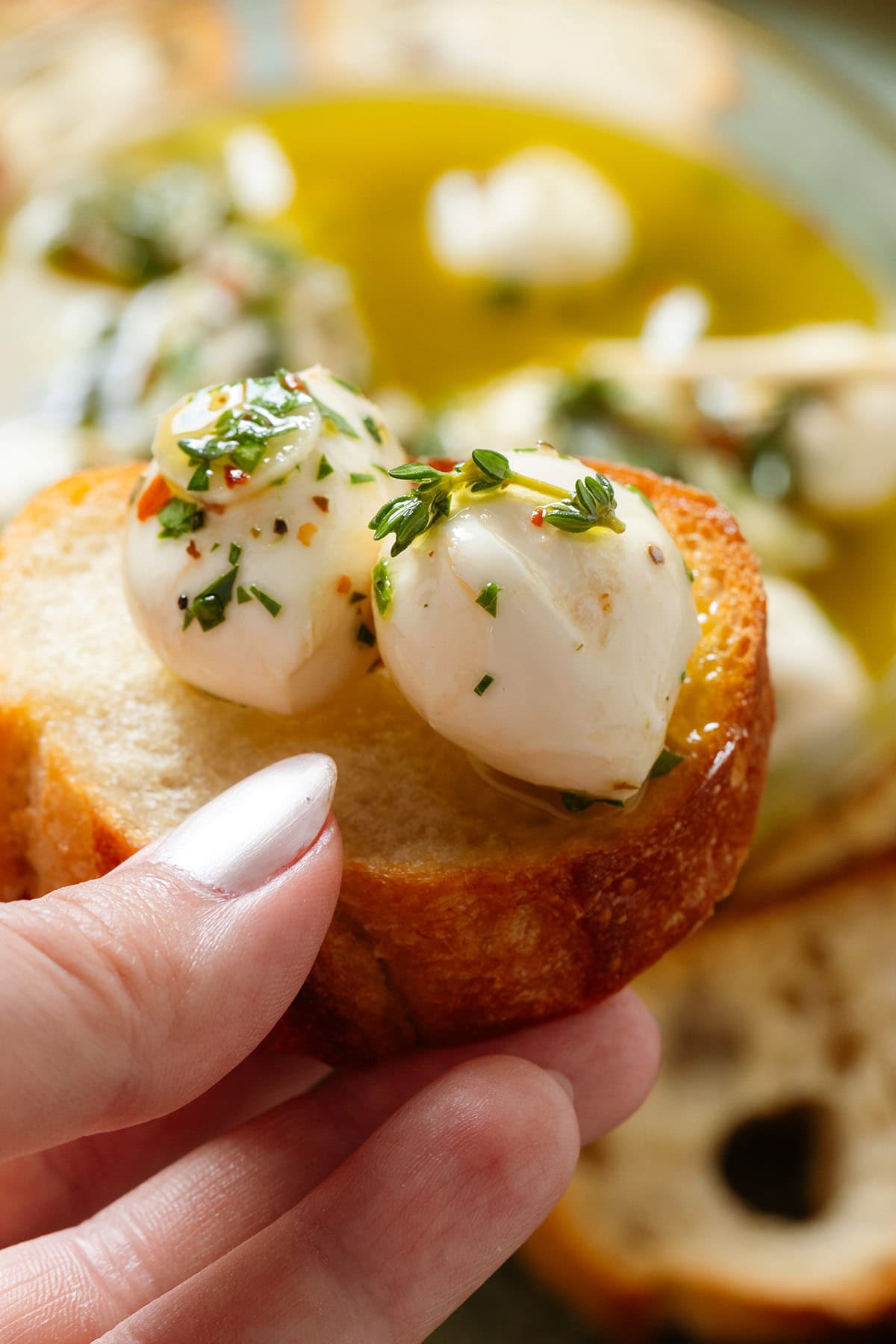 A hand holding a crostini with two marinated mozzarella balls with fresh herbs.