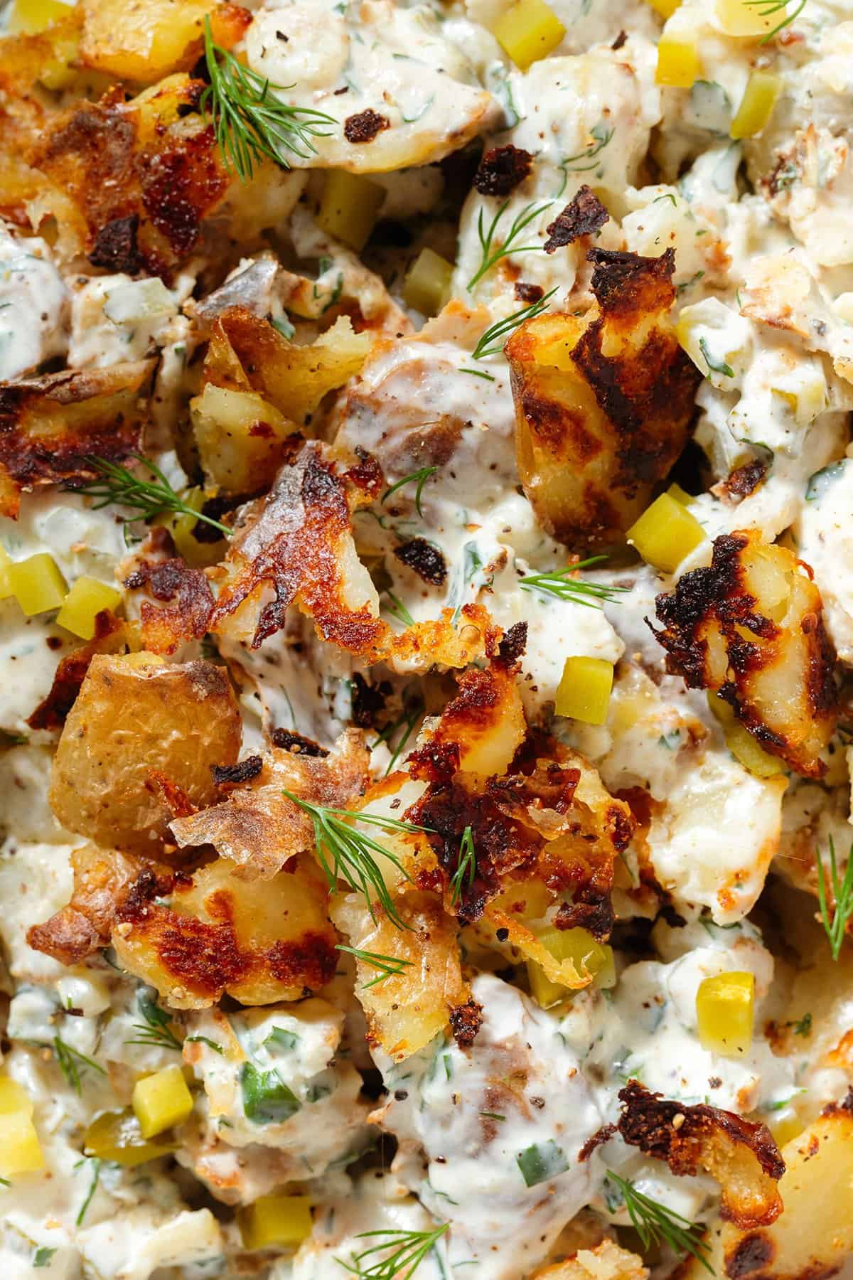 Crispy potato salad with yogurt mayo dressing garnished with bit of more crispy potatoes.