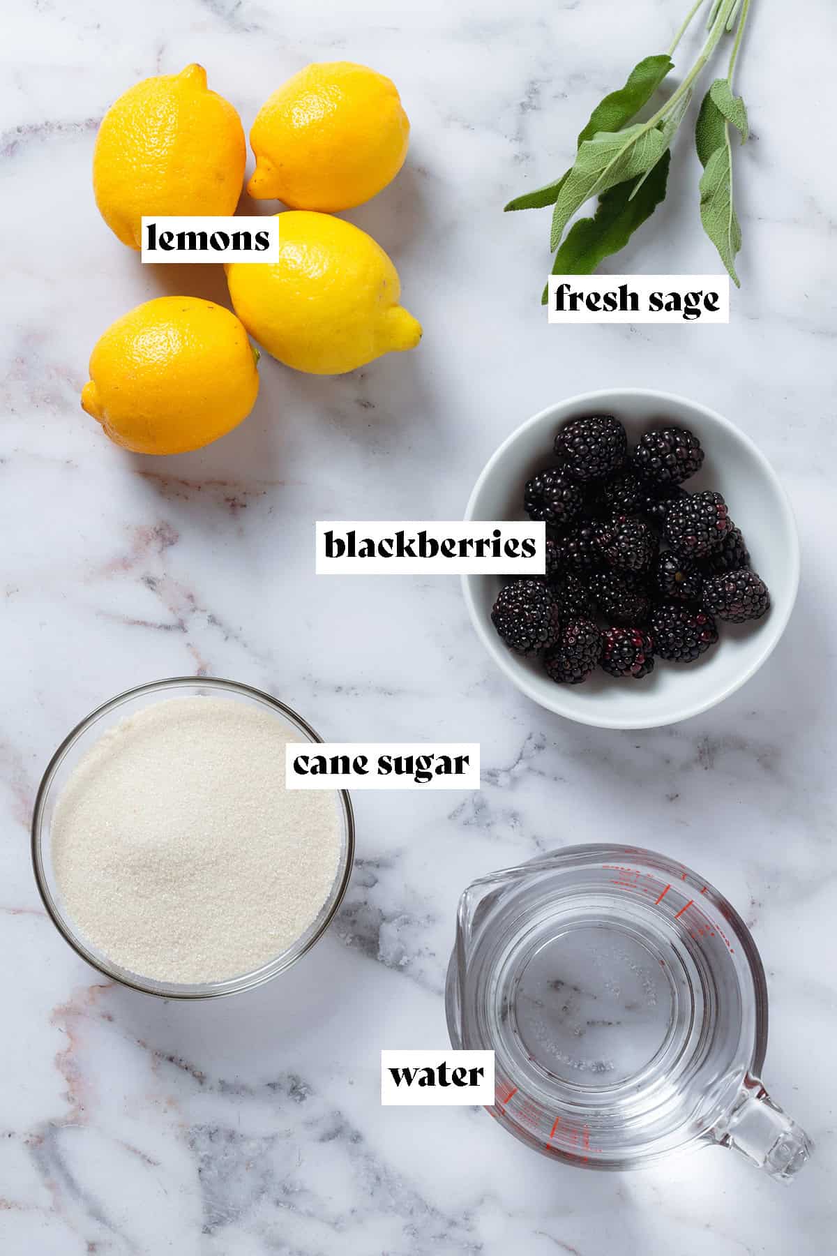 Lemons, blackberries, fresh sage, cane sugar, and water in small bowls.