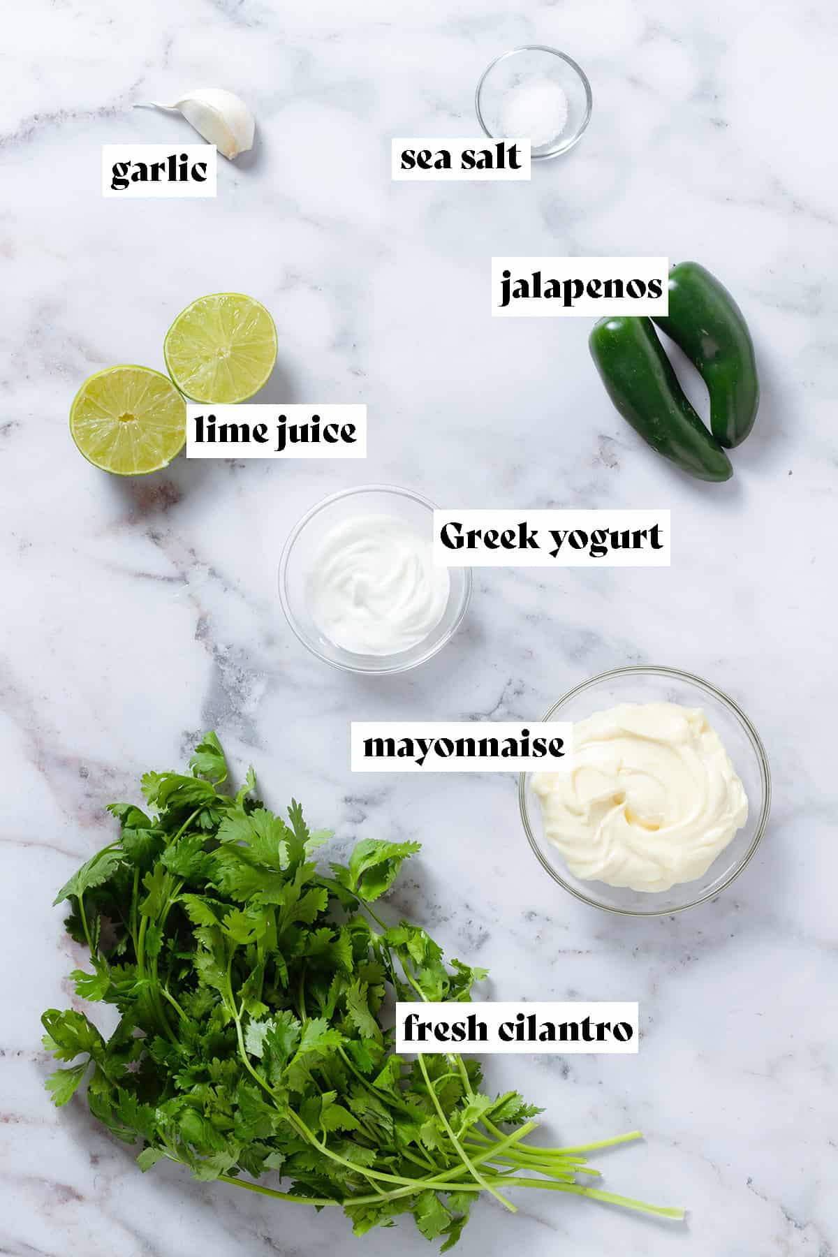 Ingredients like fresh cilantro, jalapenos, limes, yogurt, and mayonnaise on a grey background.