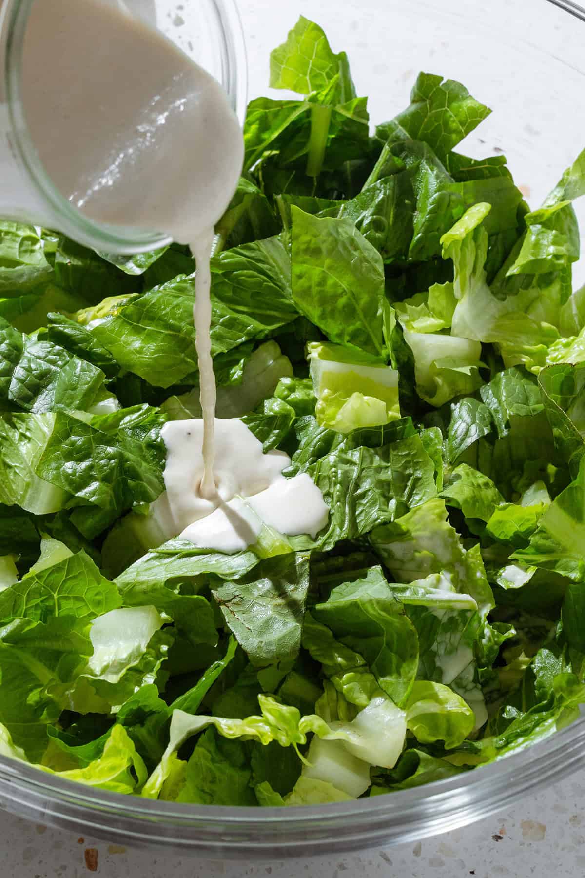 Creamy caesar dressing being poured into a large bowl with chopped romaine lettuce.